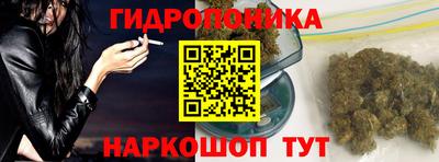 сатива Магадан