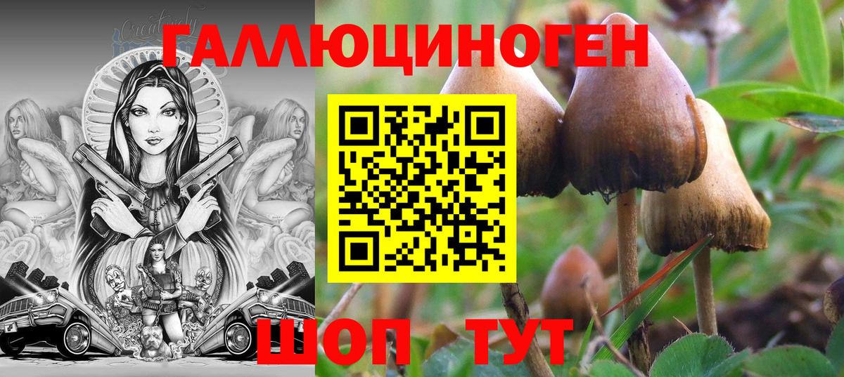 Галлюциногенные грибы мицелий Краснодар