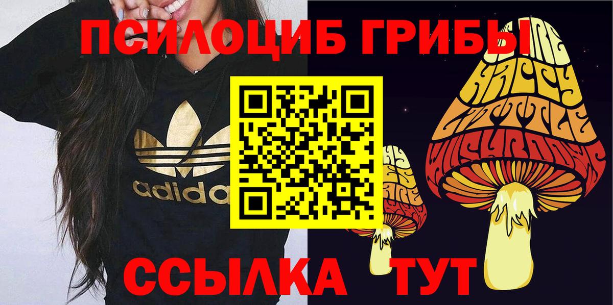 Галлюциногенные грибы мухоморы  Псилоцибиновые грибы Psilocybine cubensis  Краснодар  Вход с VPN 