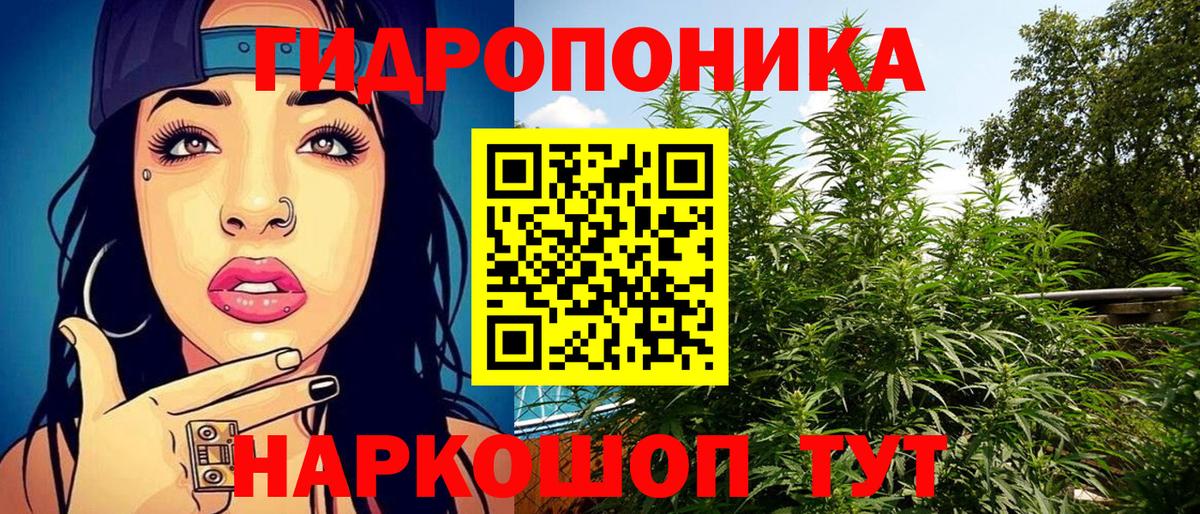 МАРИХУАНА семена  МАРИХУАНА семена  Вход с VPN  Шишки марихуана MAZAR  Краснодар 
